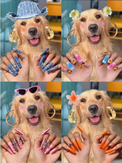 Pet Press-On Nails: The Latest Trend in Pet Fashion