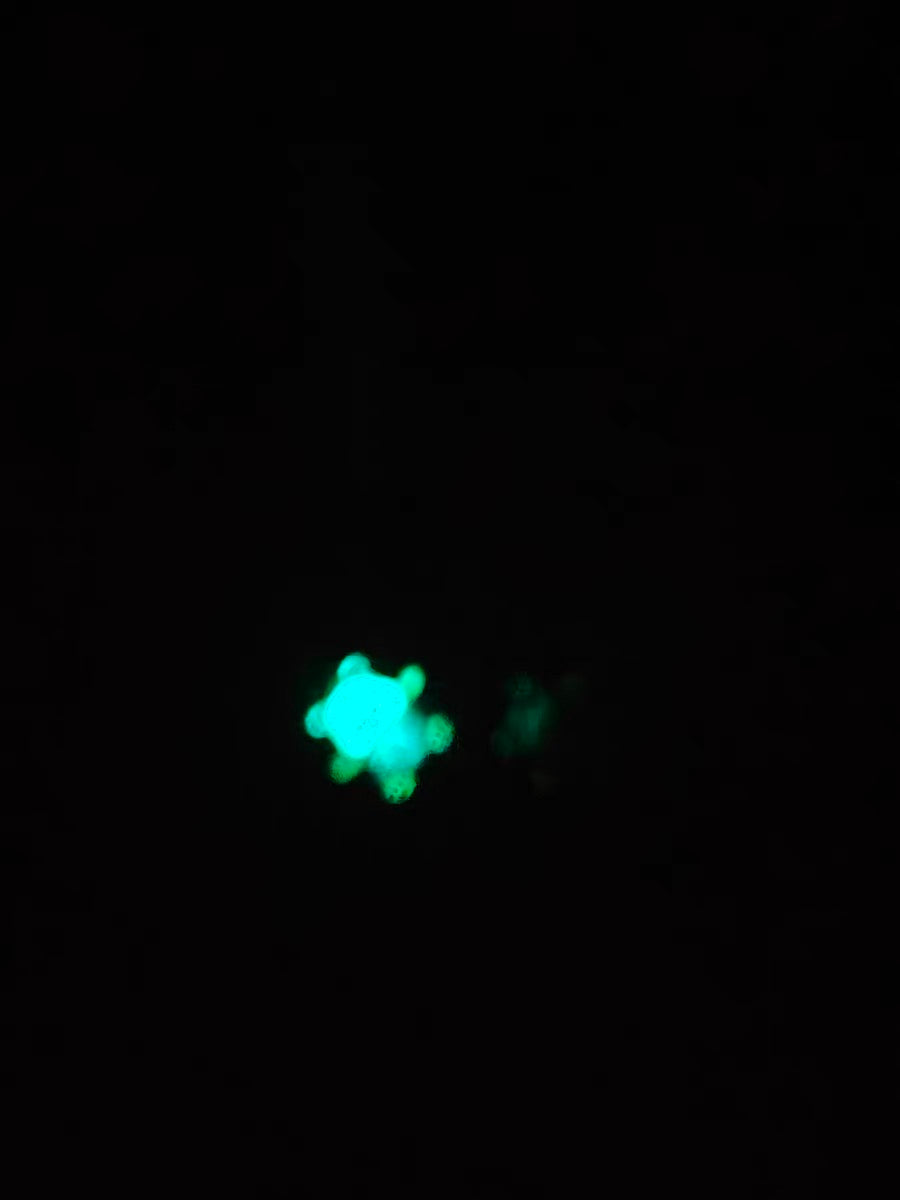 【7-15 days waiting】Night Glow Little Bear False Nails from SHOPQAQ